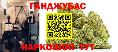 амф Бийск